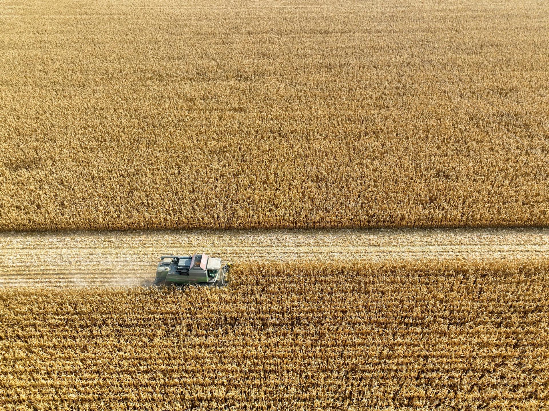 A importância dos dados de sell-in e sell-out no agro