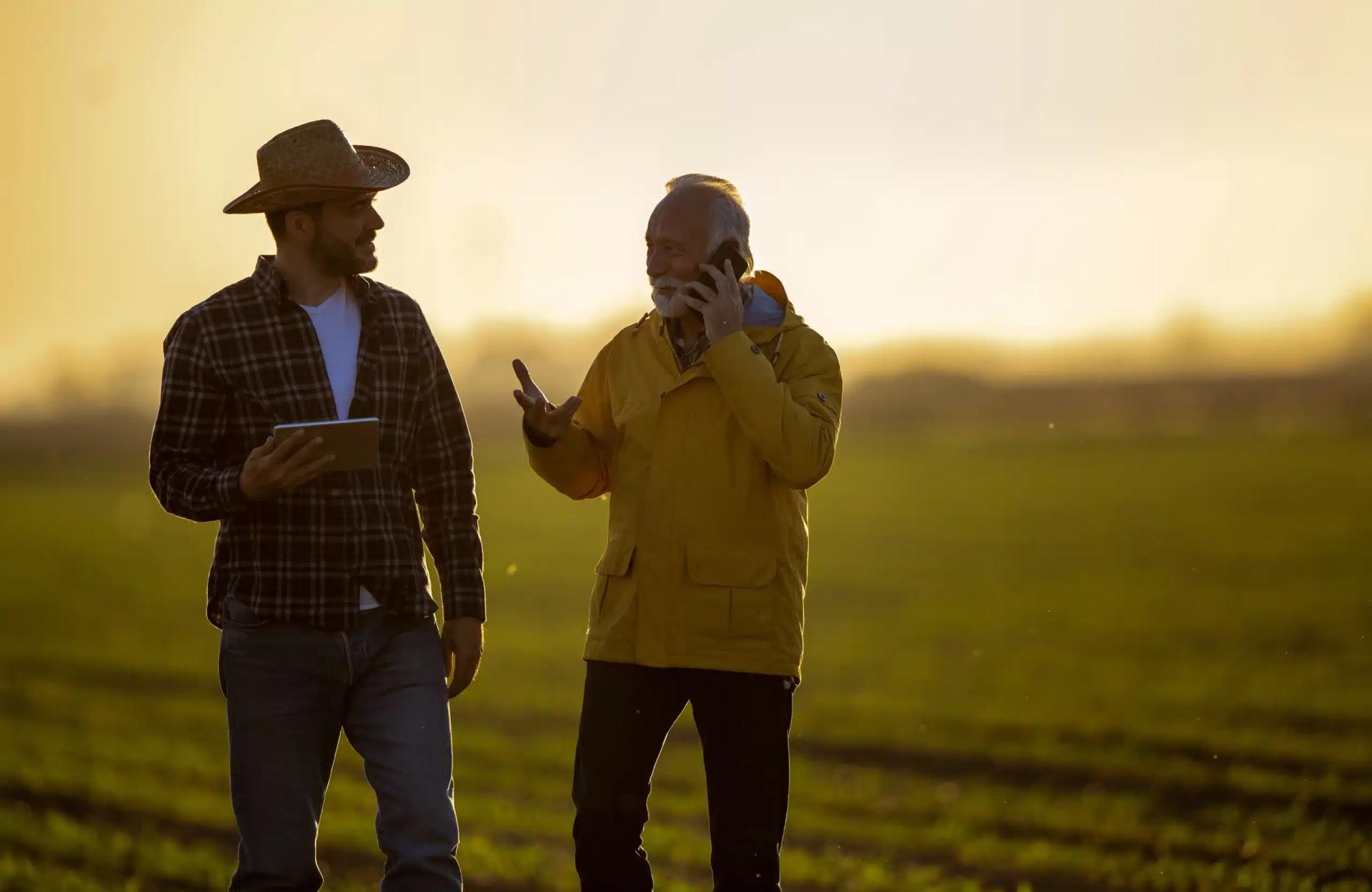 Reporte completo: Fidelização de produtores e estratégias de incentivos no agronegócio