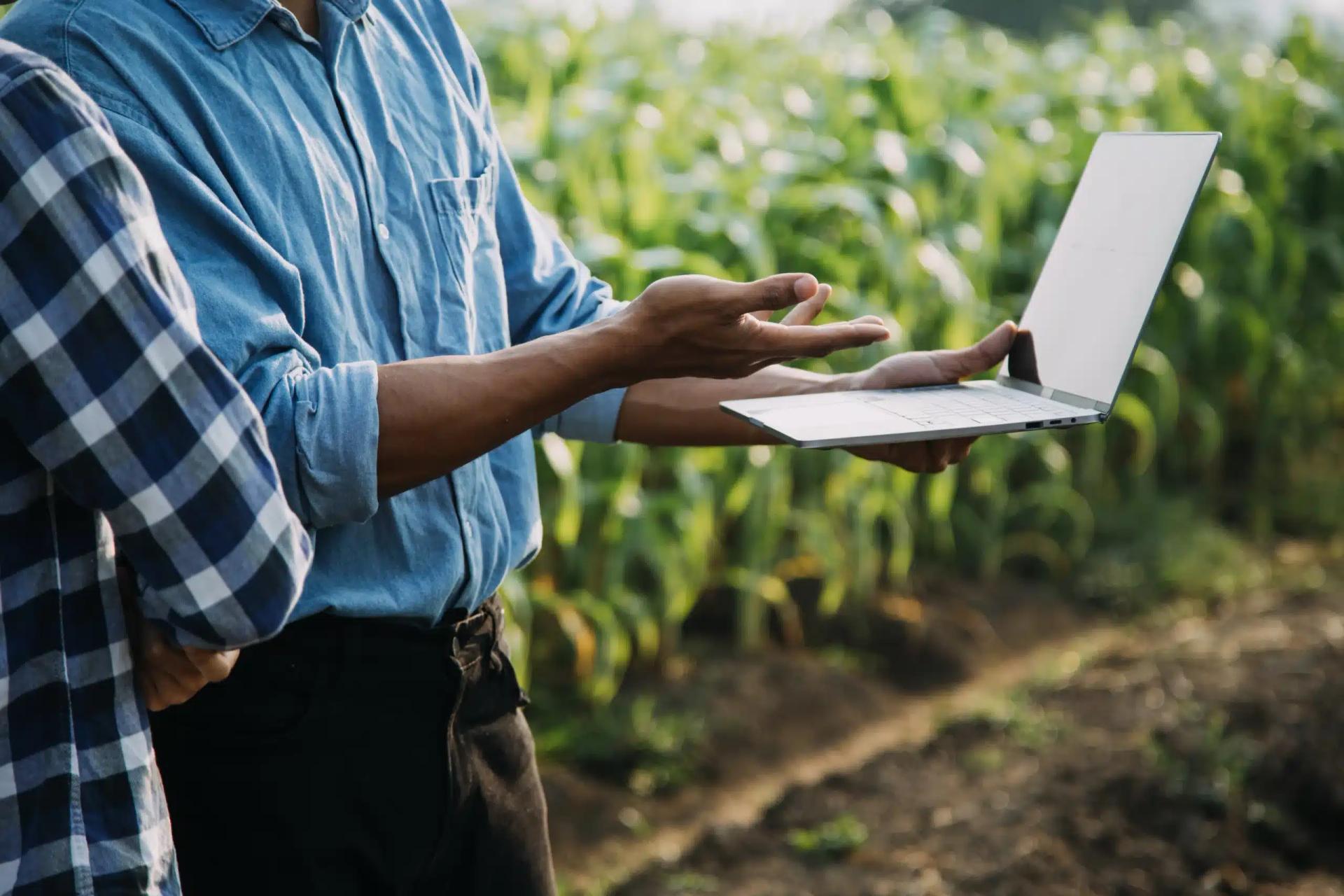 Programa de fidelidade agro: quais são os benefícios?